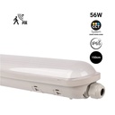 Linkable Tri-proof CCT LED batten light with motion sensor - 150cm - 56W - IP65