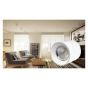 SARA" ceiling light 40W Driver PHILIPS