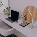 LED Desk Lamp with USB - Dimmable - CCT - 4W