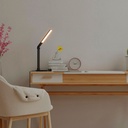 LED Desk Lamp with USB - Dimmable - CCT - 4W
