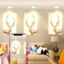 Recessed circular LED downlight - 25W - Professional use - Ø190 mm