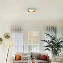 LED ceiling lamp ceiling type - Wood effect - CCT - Ø450mm - 28W