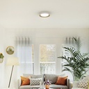 LED ceiling lamp ceiling type - Wood effect - CCT - Ø450mm - 28W