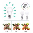 LED bulb E27 A60 - 9W