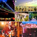 Multicolor LED garland white wire 10 LED bulbs - 8 meters