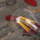 LED Filament Bulb E27 60 - 8W - Transparent