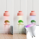 GU10 RGBW 5W LED Bulb GU10 RGBW 5W with remote control