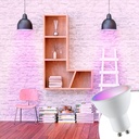 GU10 RGBW 5W LED Bulb GU10 RGBW 5W with remote control