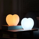 RGBW Rechargeable 1W 20cm IP65 LED RGBW RGBW Rechargeable 1W 20cm IP65 LED Heart Light