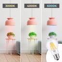 LED Filament Bulb E27 60 - 8W - Transparent