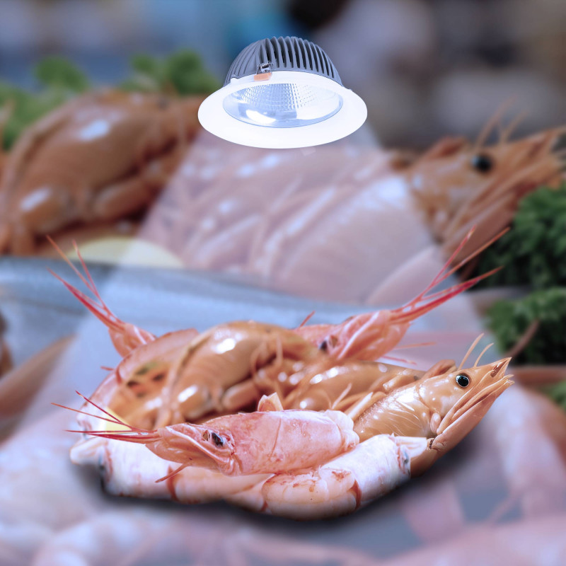 Downlight LED special for fishmongers - 44W - Driver Philips - Cut Ø210 mm