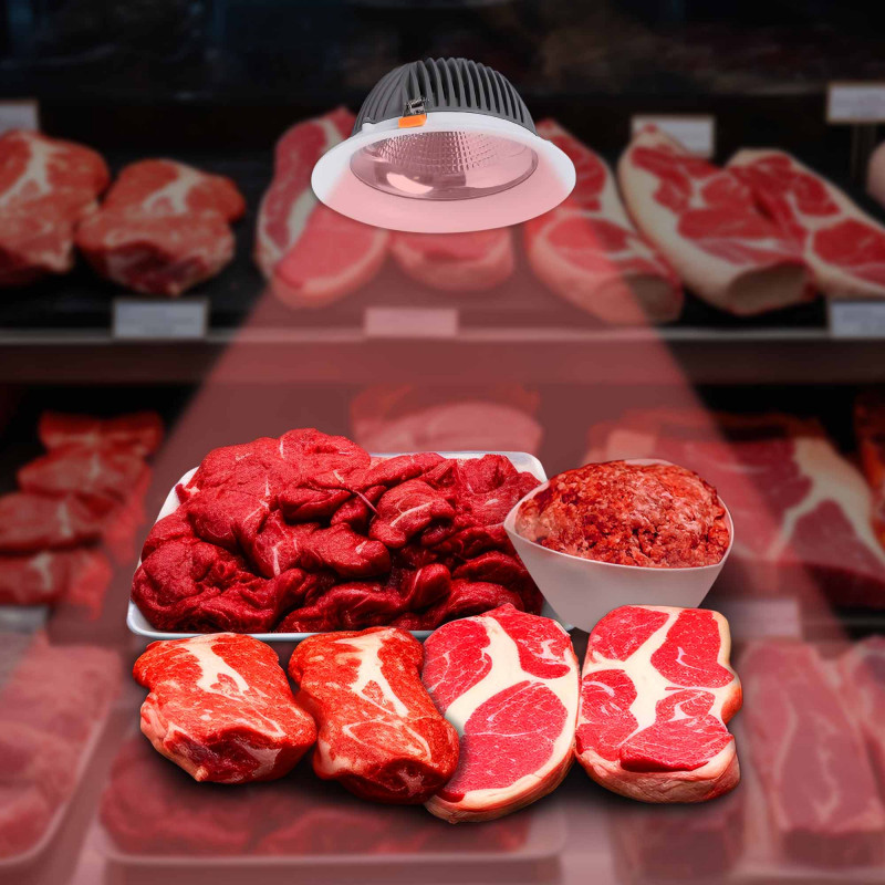 Downlight LED special for butcheries - 44W - Driver Philips - Cut Ø210 mm