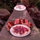 Downlight LED special for butcheries - 44W - Driver Philips - Cut Ø210 mm