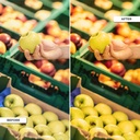 Downlight LED special for fruits and vegetables - 44W - Driver Philips - Cut Ø210 mm