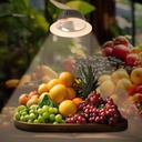 Downlight LED special for fruits and vegetables - 44W - Driver Philips - Cut Ø210 mm