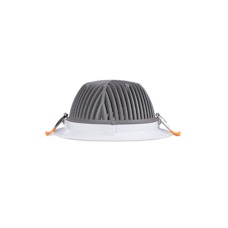 Downlight LED special for fruits and vegetables - 44W - Driver Philips - Cut Ø210 mm