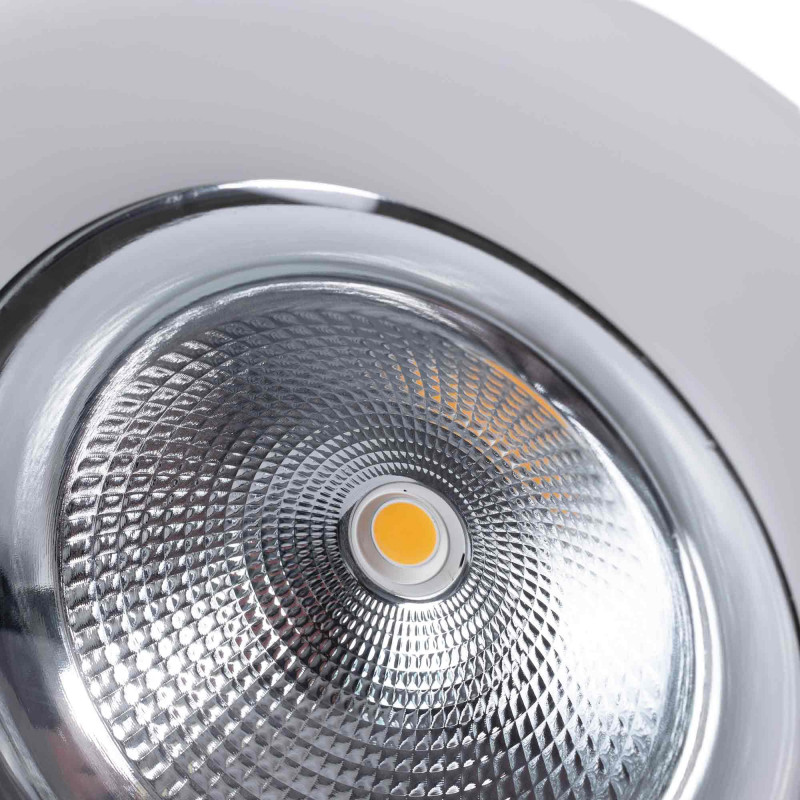 Downlight LED special for fruits and vegetables - 44W - Driver Philips - Cut Ø210 mm