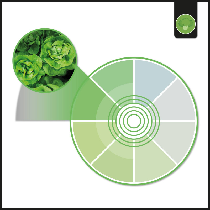 Downlight LED special for fruits and vegetables - 44W - Driver Philips - Cut Ø210 mm