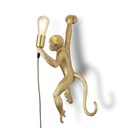 Mono resin wall light "Cesar".