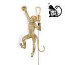 Mono resin wall light "Cesar".