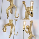 Mono resin wall light "Cesar".