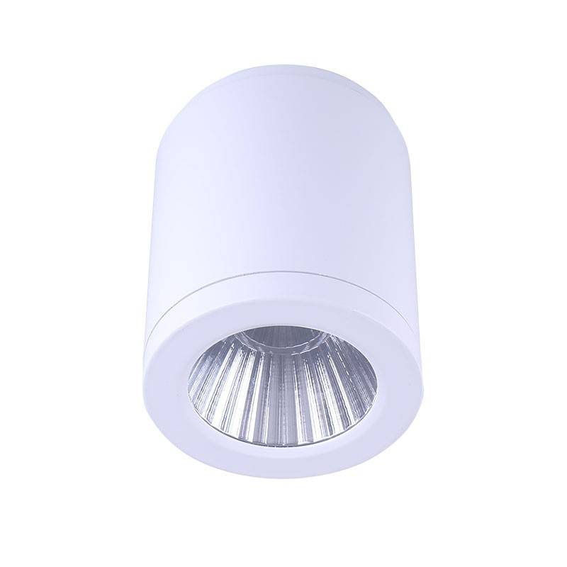 Ceiling light CCT mini "GESS" COB 15W IP54