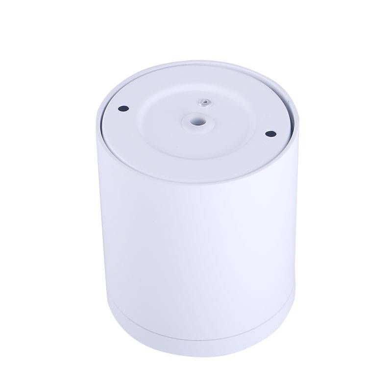 Ceiling light CCT mini "GESS" COB 15W IP54