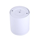 Ceiling light CCT mini "GESS" COB 15W IP54