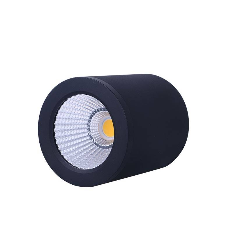 Ceiling light CCT mini "GESS" COB 15W IP54