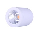 Ceiling light CCT mini "GESS" COB 15W IP54