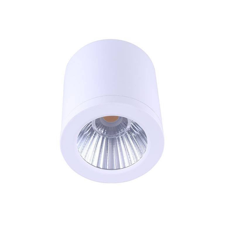 Ceiling light CCT mini "GESS" COB 15W IP54