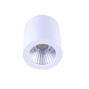 Ceiling light CCT mini "GESS" COB 15W IP54