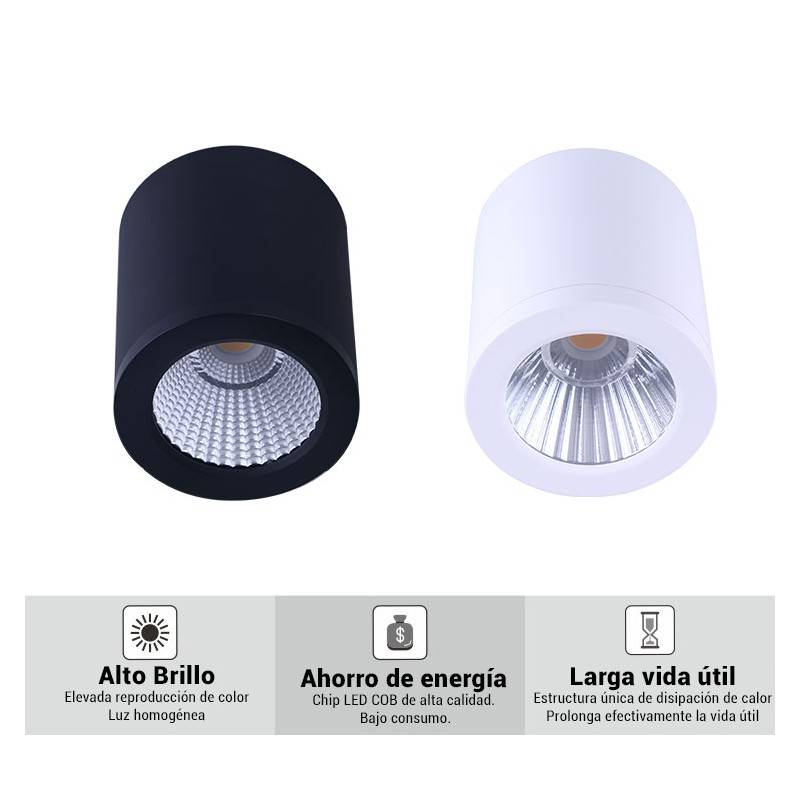 Ceiling light CCT mini "GESS" COB 15W IP54