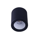 Ceiling light CCT mini "GESS" COB 15W IP54