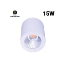 Ceiling light CCT mini "GESS" COB 15W IP54