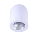 CCT "GESS" ceiling light COB 25W IP54