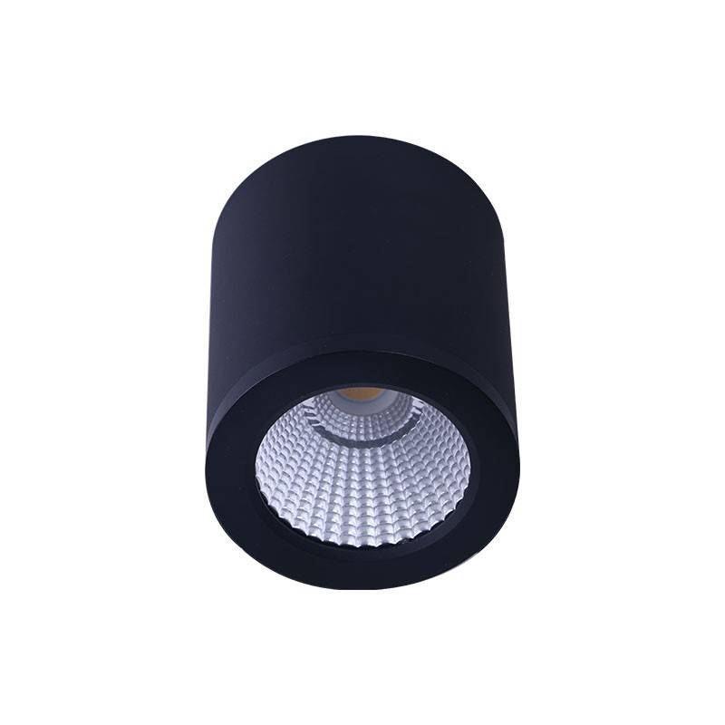 CCT "GESS" ceiling light COB 25W IP54