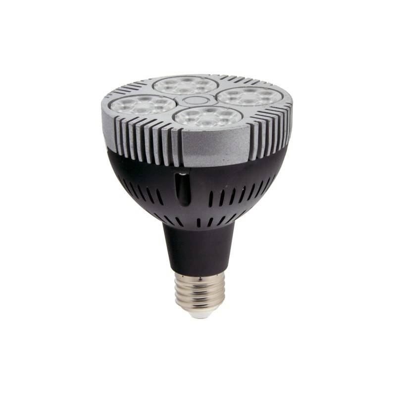 LED PAR30 E27 35W 2800lm PAR30 LED Bulb