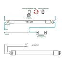 LED T8 60cm colored tube - 9W