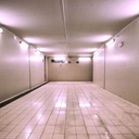 LED T8 120cm colored tube -18W