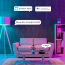 Smart WIFI Smart Bulb RGBWW E27 9W