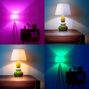 Smart WIFI Smart Bulb RGBWW E27 9W