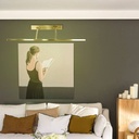 Wall light wall sconce LED wall light 13W adjustable