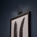 Adjustable 6W LED wall sconce for picture lighting