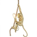 Resin hanging monkey lamp "Ximpa".