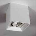 Adjustable polycarbonate ceiling light - GU10