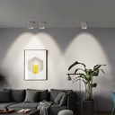 Adjustable polycarbonate ceiling light - GU10