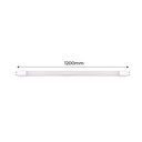 LED tube T8 special butcher's shop 120cm 18W