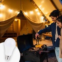 Bulb 12-24V DC 8W E27 A60 for caravans, camping and boats