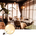 Vintage LED Bulb Globe Filament Bulb E27 G125 6W